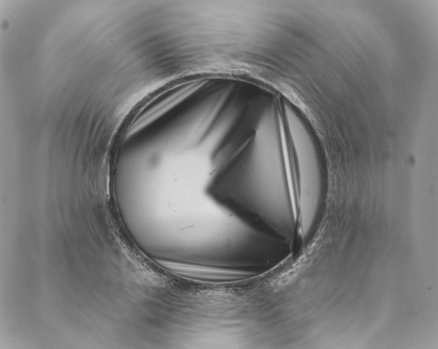 X0000088890838200706291438