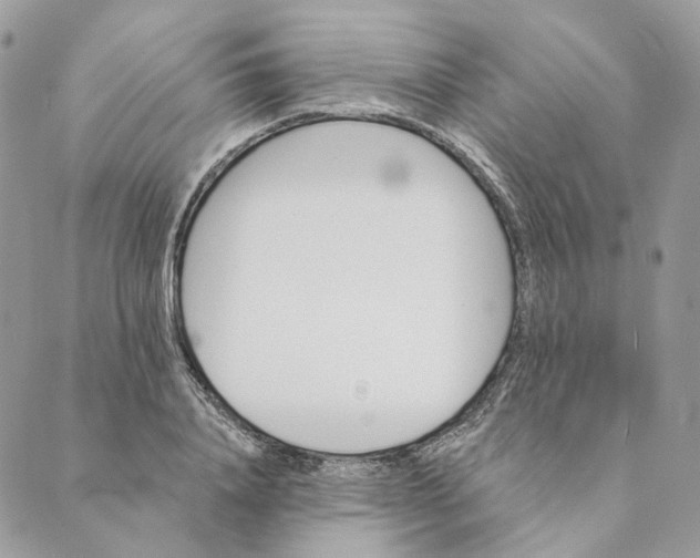 X0000088890840200706291438