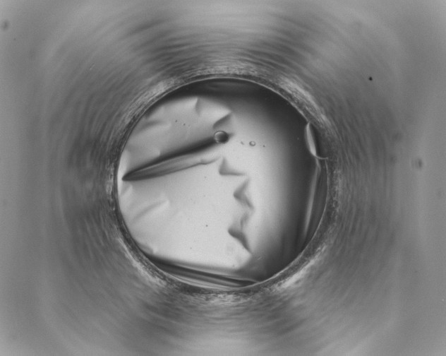 X0000088890841200706291438