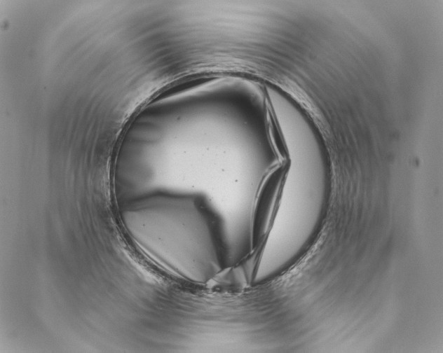 X0000088890842200706291438