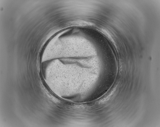 X0000088890843200706291438