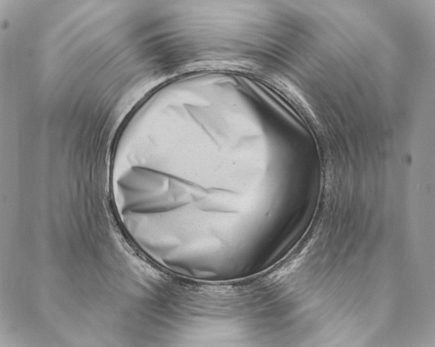 X0000088890844200706291438