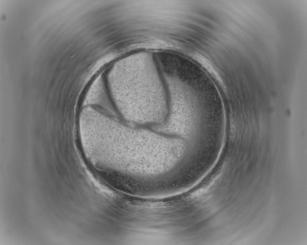 X0000088890845200706291438