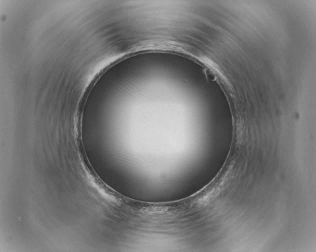 X0000088890846200706291438