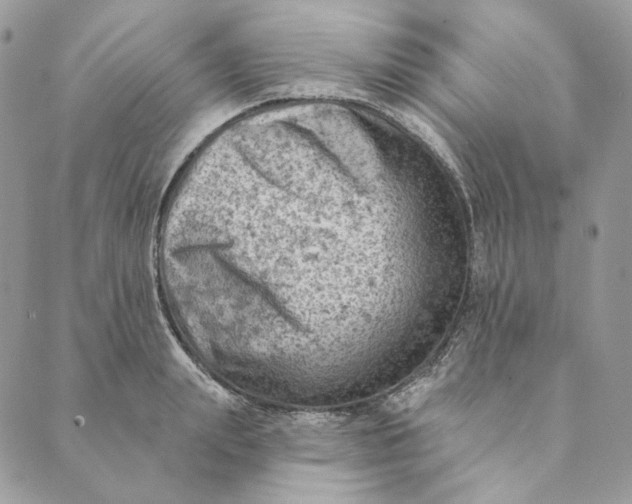 X0000088890847200706291438