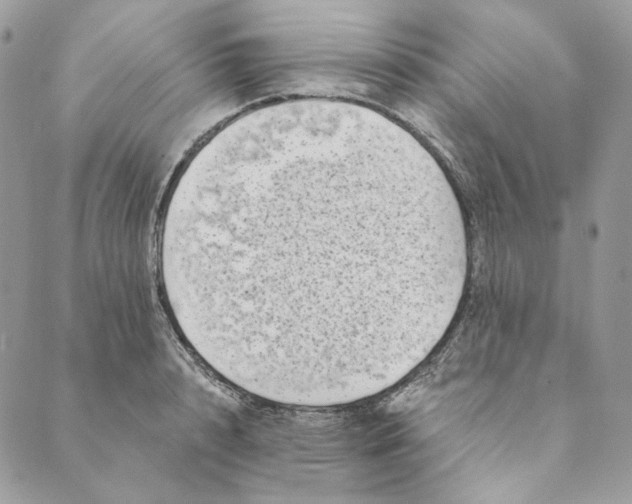 X0000088890848200706291438