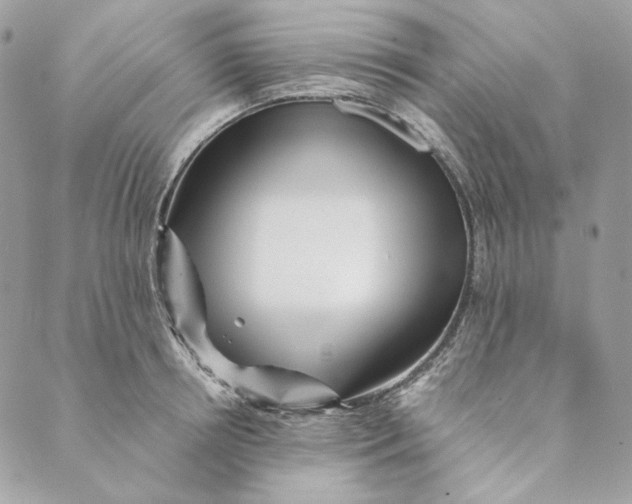 X0000088890850200706291438