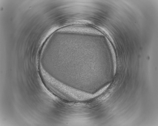 X0000088890851200706291438