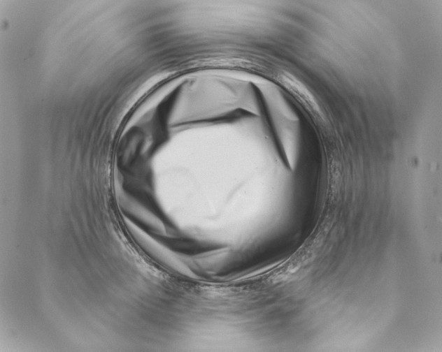 X0000088890852200706291438