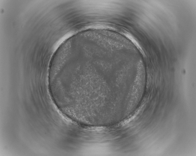 X0000088890853200706291438