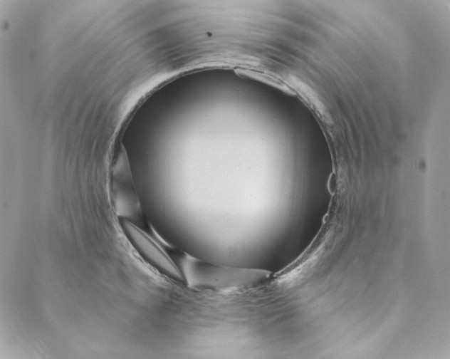 X0000088890854200706291438