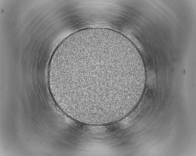 X0000088890856200706291438