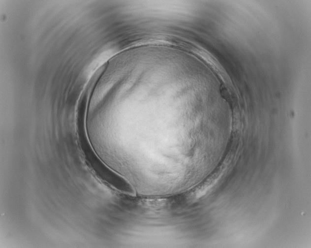 X0000088890858200706291438