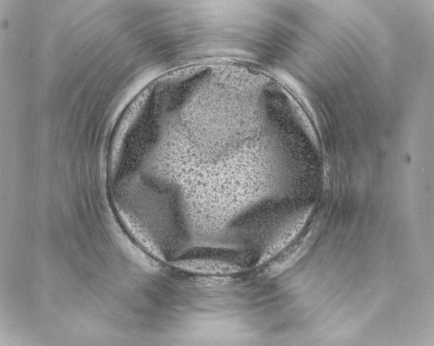 X0000088890859200706291438