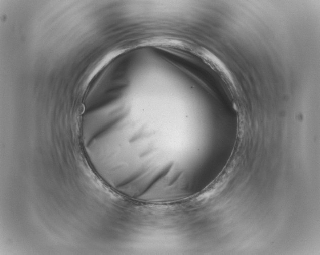 X0000088890860200706291438