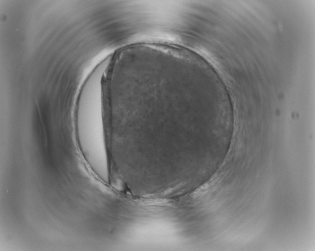 X0000088890864200706291438