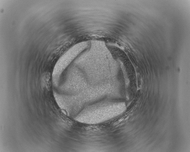 X0000088890867200706291437