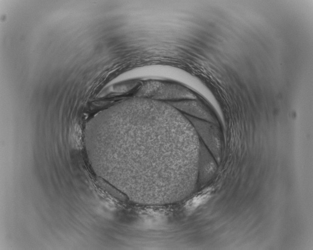 X0000088890868200706291437