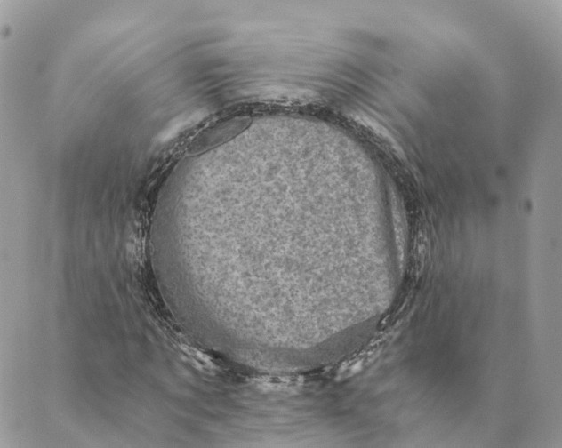 X0000088890869200706291437