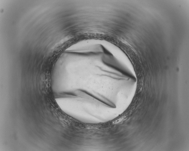 X0000088890870200706291437