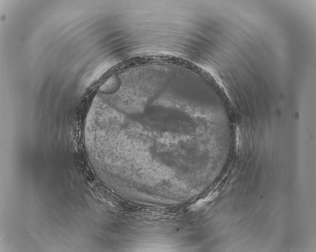 X0000088890871200706291437