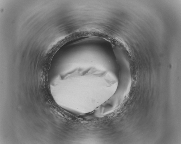 X0000088890872200706291437