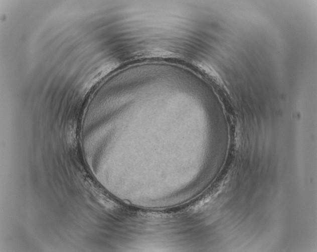 X0000088890873200706291437