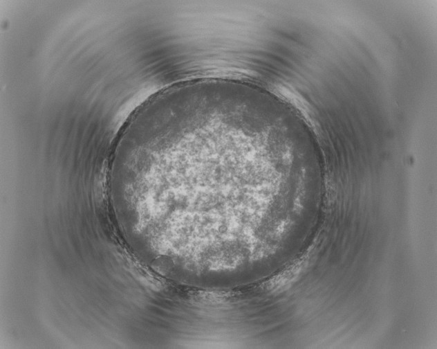 X0000088890875200706291437