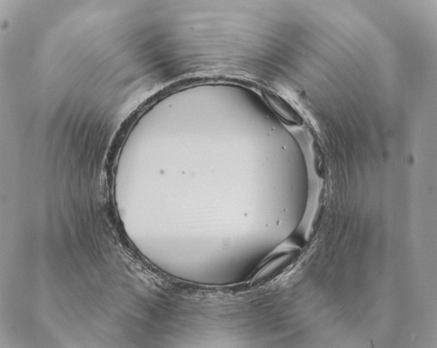 X0000088890876200706291437