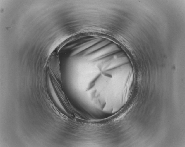 X0000088890877200706291437