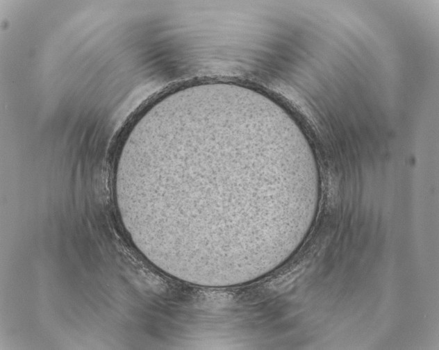 X0000088890878200706291437