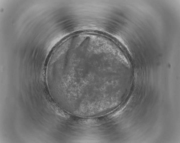 X0000088890879200706291437