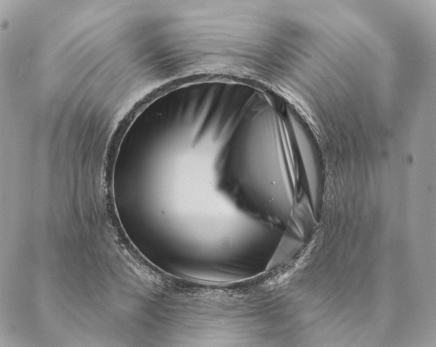 X0000088890880200706291437