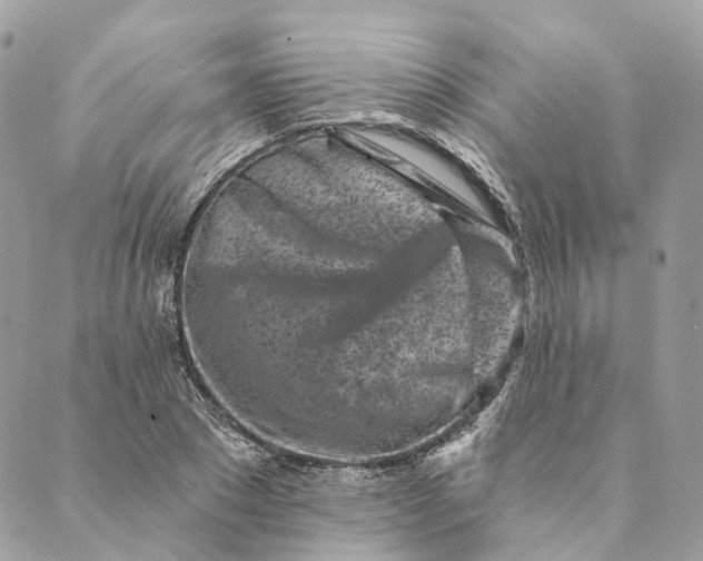 X0000088890881200706291437