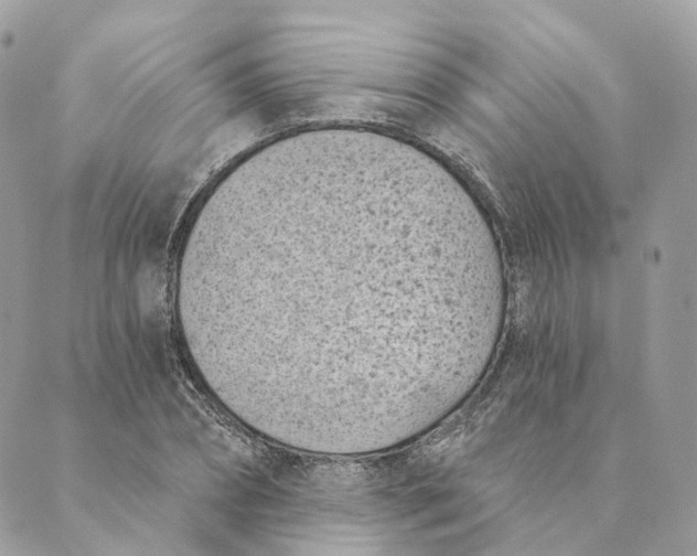 X0000088890882200706291437