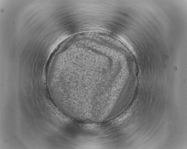 X0000088890883200706291437