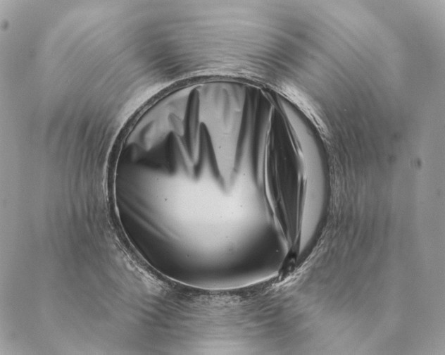 X0000088890884200706291437