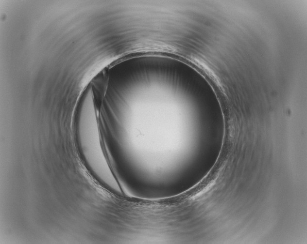 X0000088890885200706291437