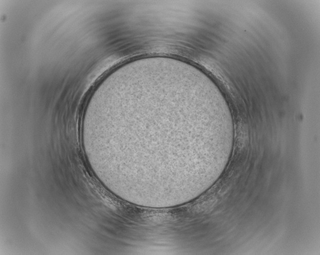 X0000088890886200706291437