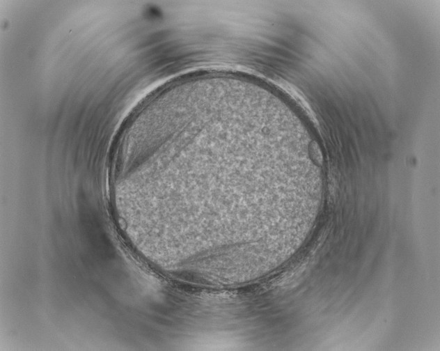 X0000088890887200706291437