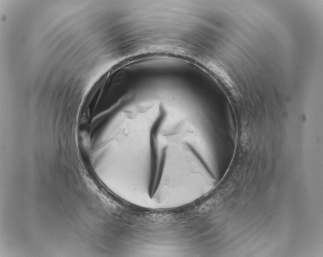 X0000088890888200706291437