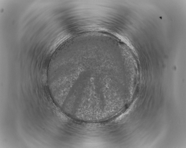 X0000088890889200706291437