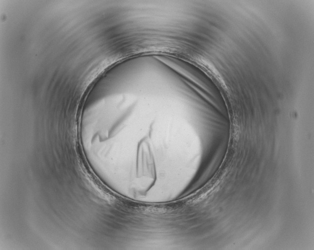 X0000088890890200706291437