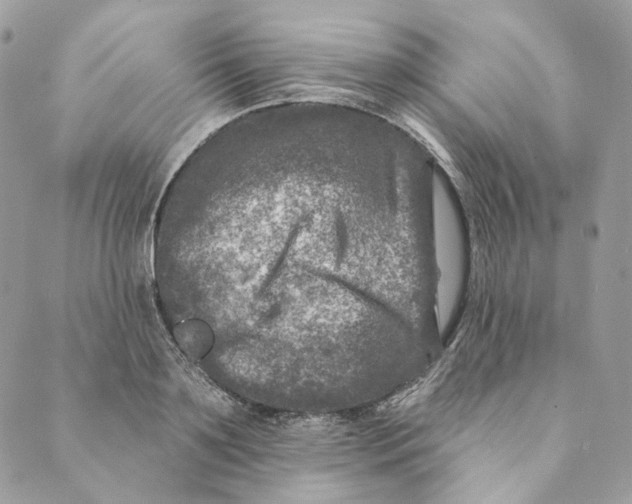 X0000088890891200706291437