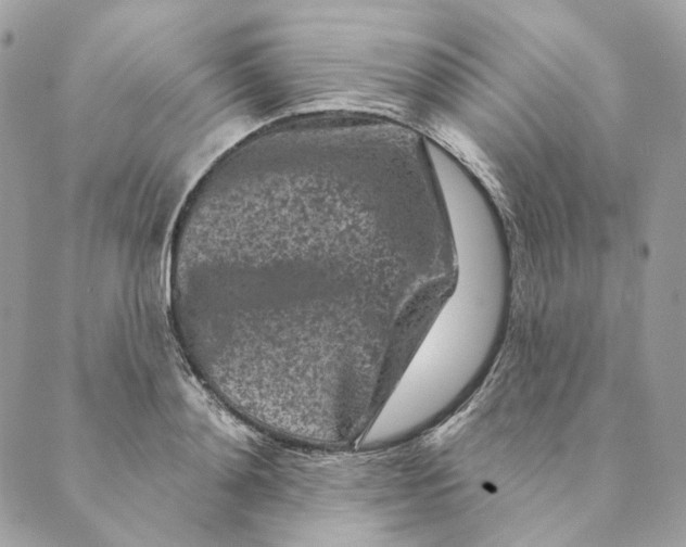 X0000088890892200706291437