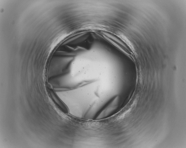 X0000088890893200706291437