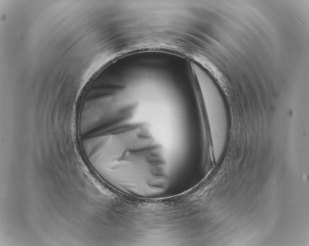 X0000088890894200706291437