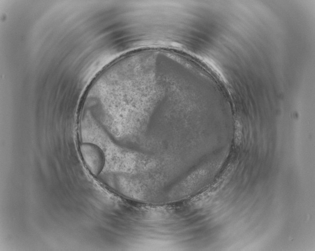 X0000088890895200706291437