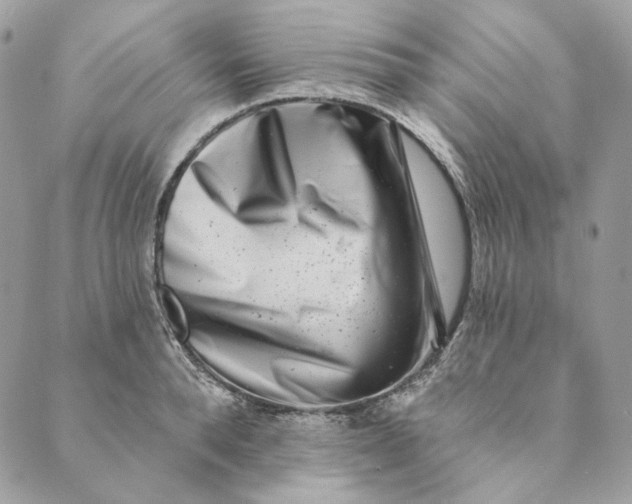 X0000088890896200706291437