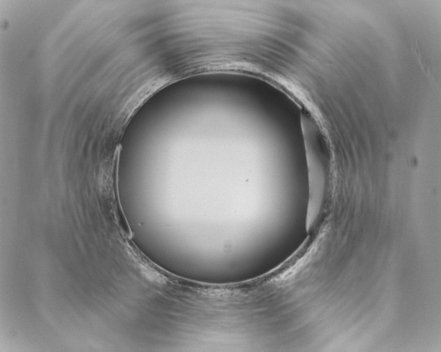 X0000088890897200706291437